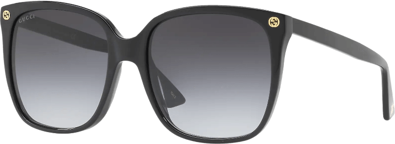 Gg0022s sunglasses outlet