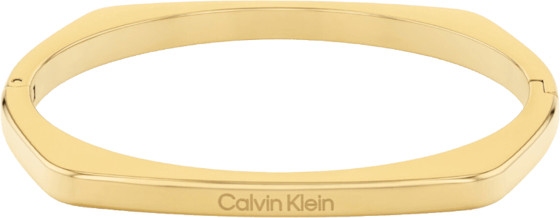 Calvin klein hook bangle deals