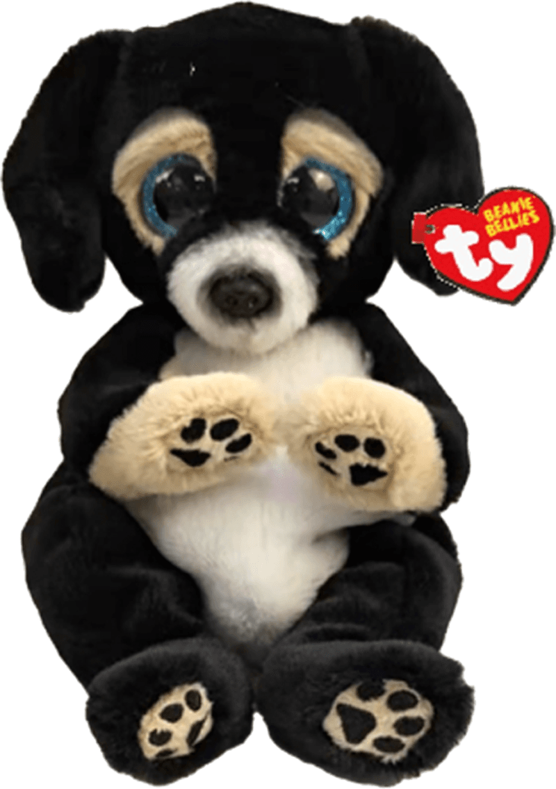 TY Beanie Bellies Ranger 20cm