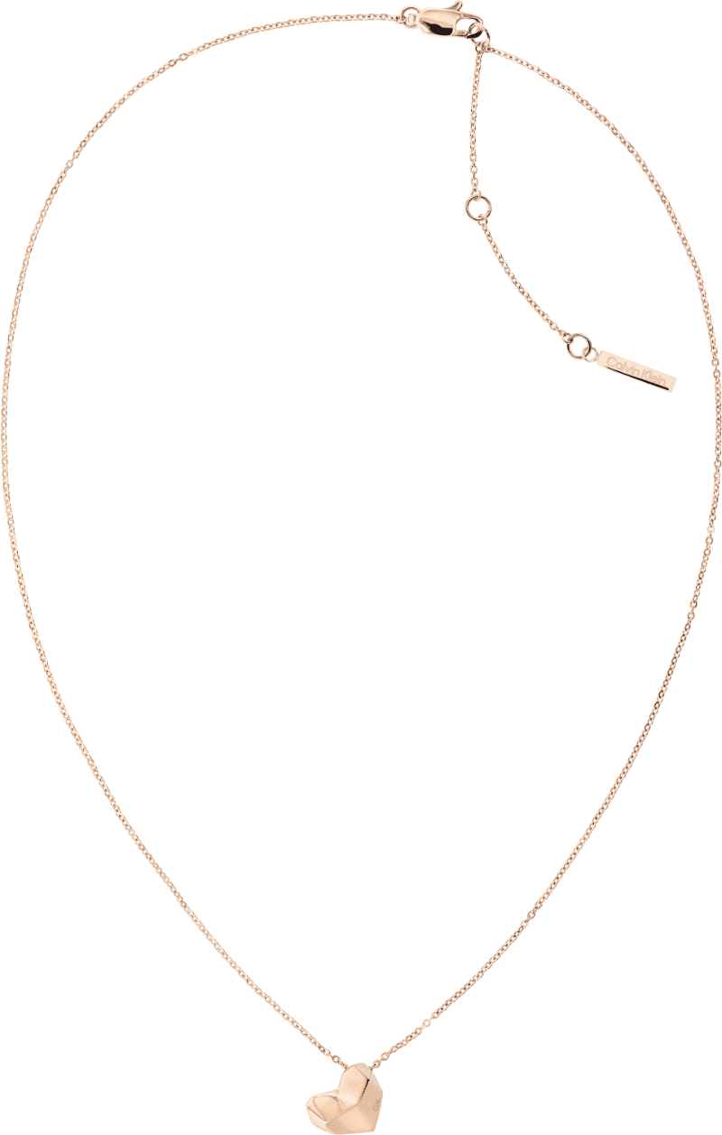 Calvin klein deals pendant