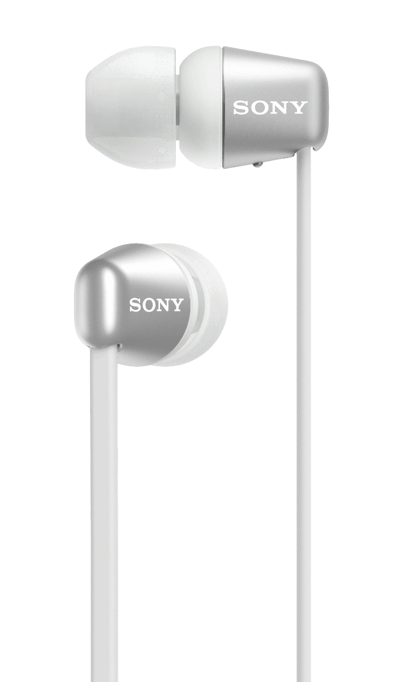 Sony wic310n on sale